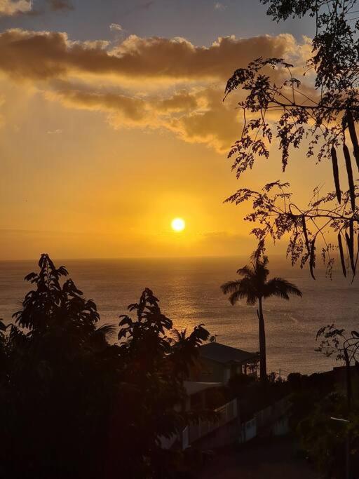Ti Sucrier Jaune - Douceur Caraibe Vue Mer Le Carbet Exterior photo