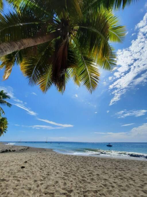 Ti Sucrier Jaune - Douceur Caraibe Vue Mer Le Carbet Exterior photo